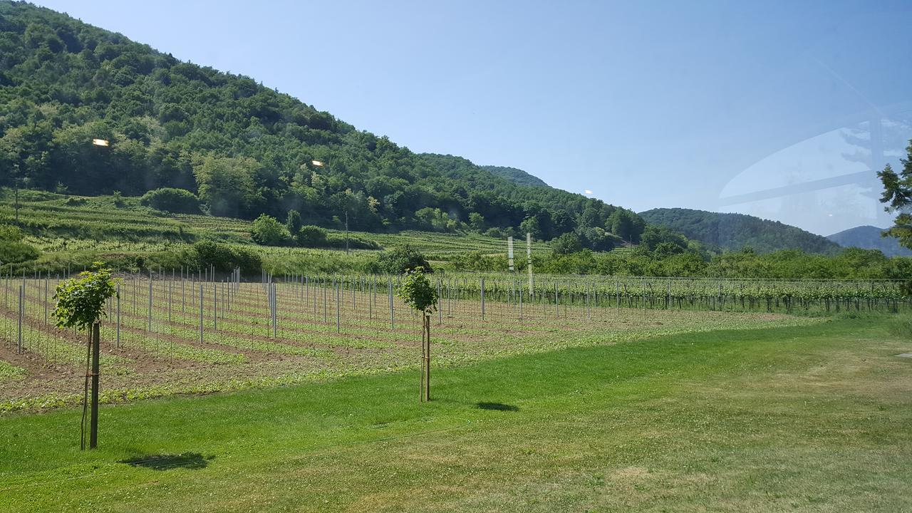 Gasthof Zur Wachau Hofarnsdorf Esterno foto